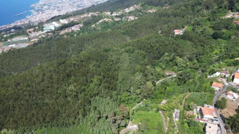 Terreno para Venda em Camacha