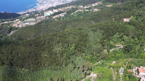 Terreno para Venda em Camacha