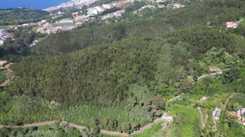 Terreno para Venda em Camacha