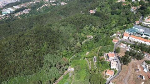 Terreno para Venda em Camacha