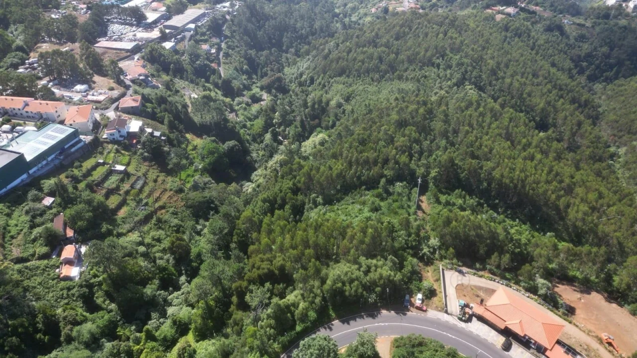 Terreno para Venda em Camacha Foto 7