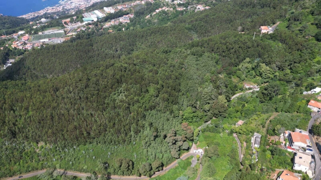 Terreno para Venda em Camacha Foto 20