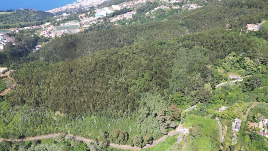 Terreno para Venda em Camacha Foto 25