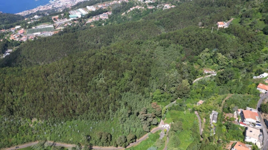 Terreno para Venda em Camacha Foto 20