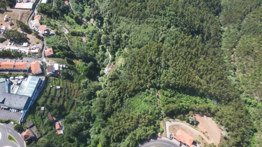 Terreno para Venda em Camacha Foto 6