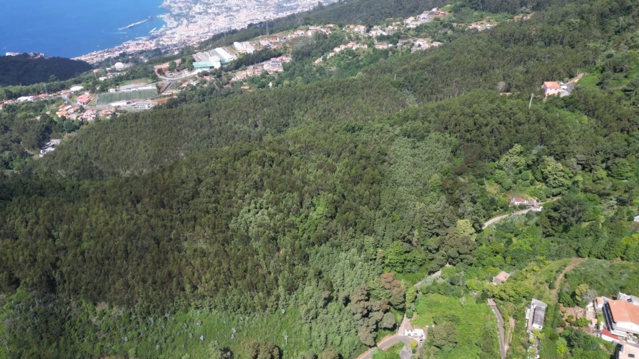 Terreno para Venda em Camacha Foto 13