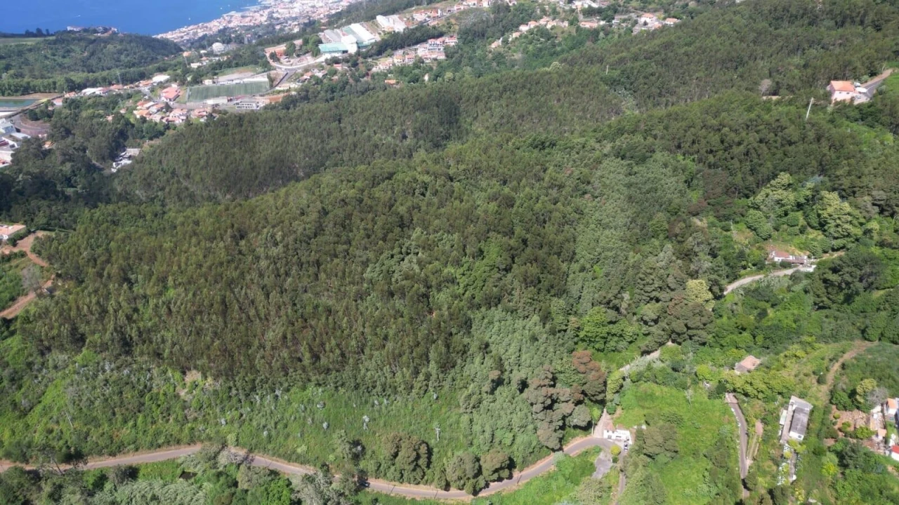 Terreno para Venda em Camacha Foto 24