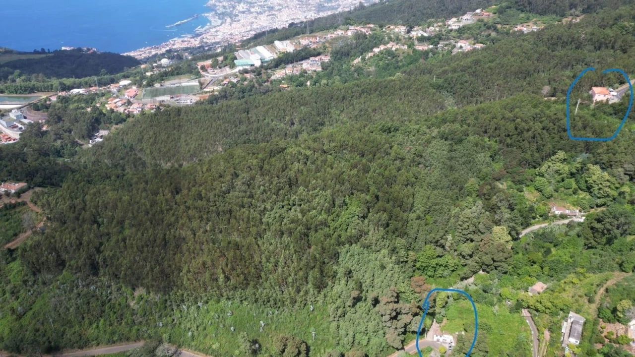 Terreno para Venda em Camacha Foto 14