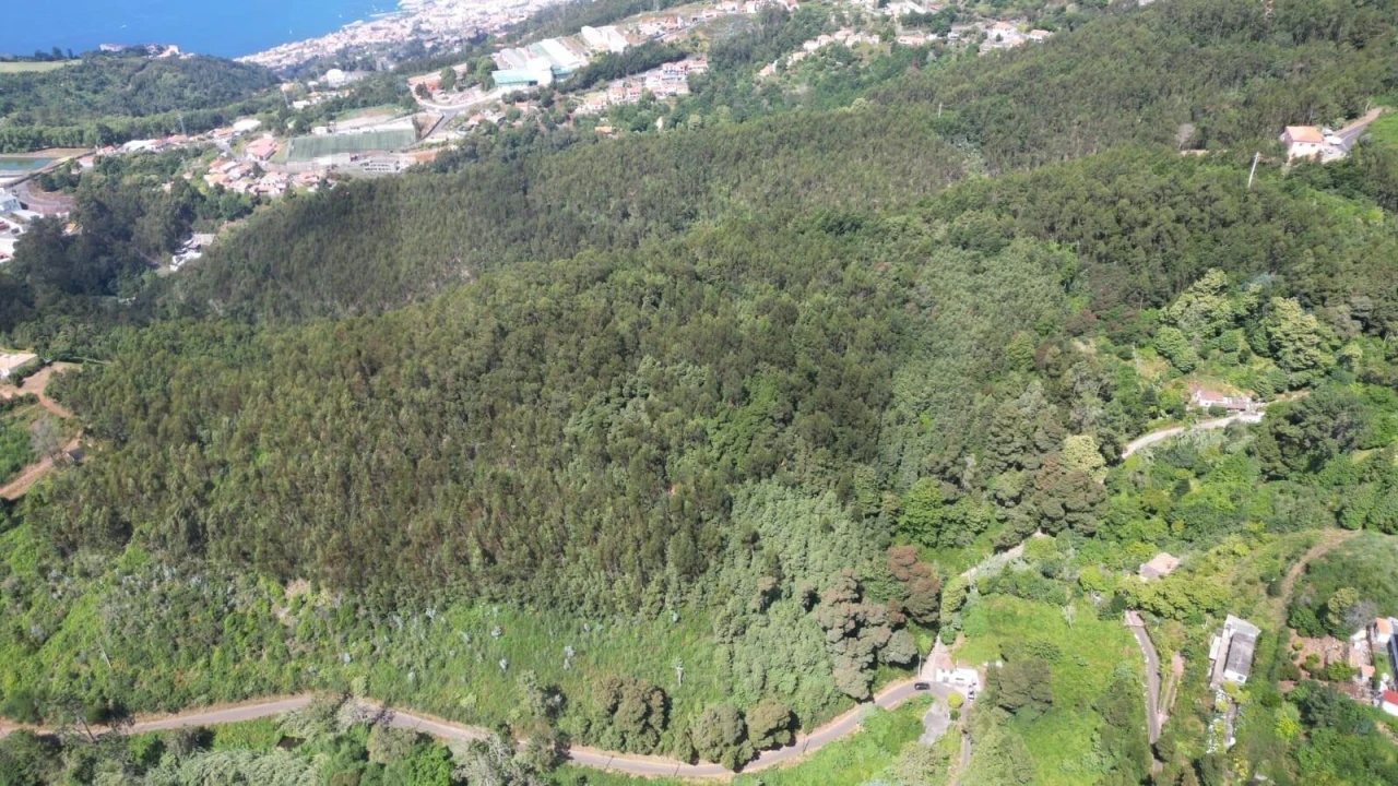 Terreno para Venda em Camacha Foto 26