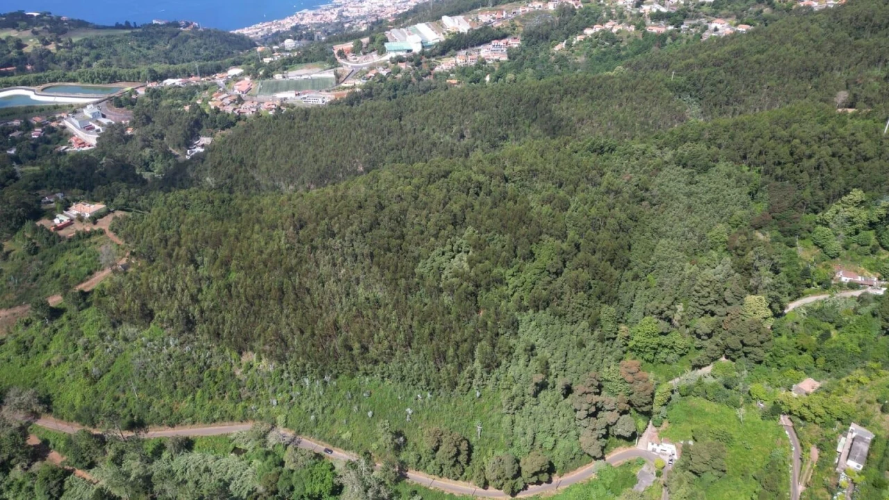 Terreno para Venda em Camacha Foto 23