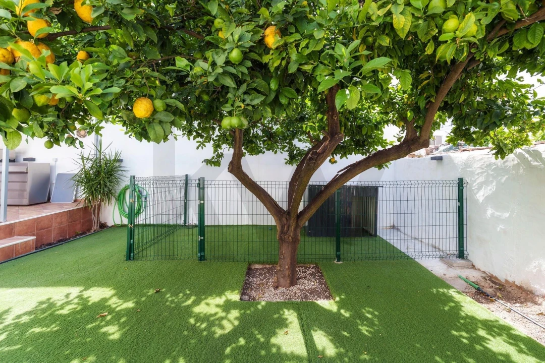 Moradia T3 para Venda em Faro (Sé e São Pedro) Foto 48