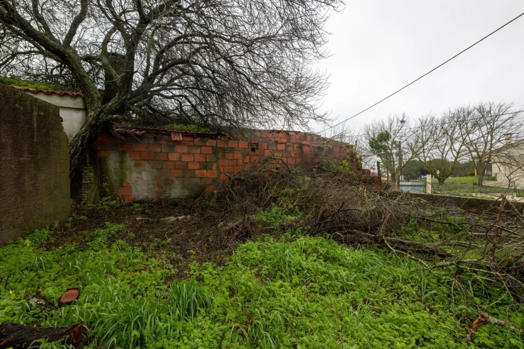Moradia T3 para Venda em Azoia de Cima e Tremês Foto 39