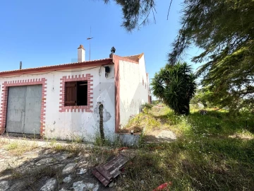 Quinta T6 para Venda em Azambuja
