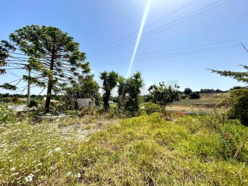 Quinta T6 para Venda em Azambuja