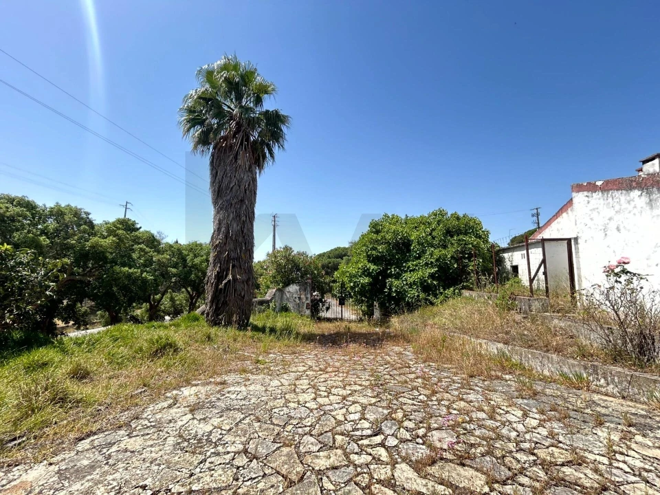 Quinta T6 para Venda em Azambuja Foto 37