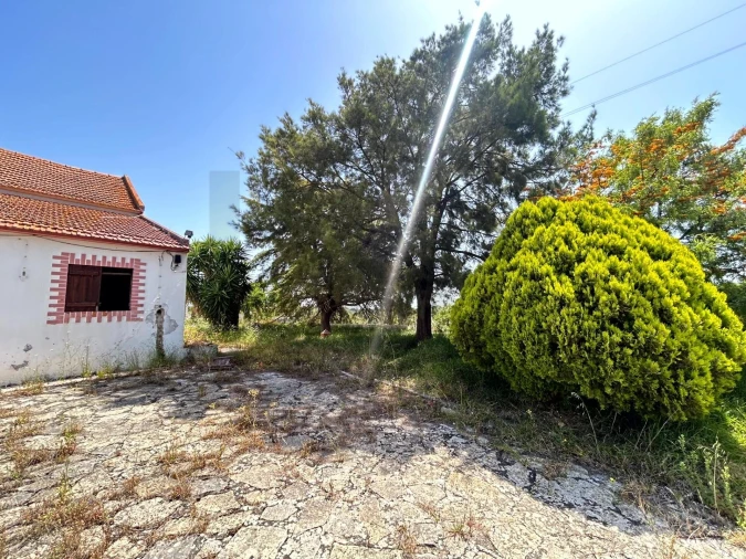 Quinta T6 para Venda em Azambuja Foto 34