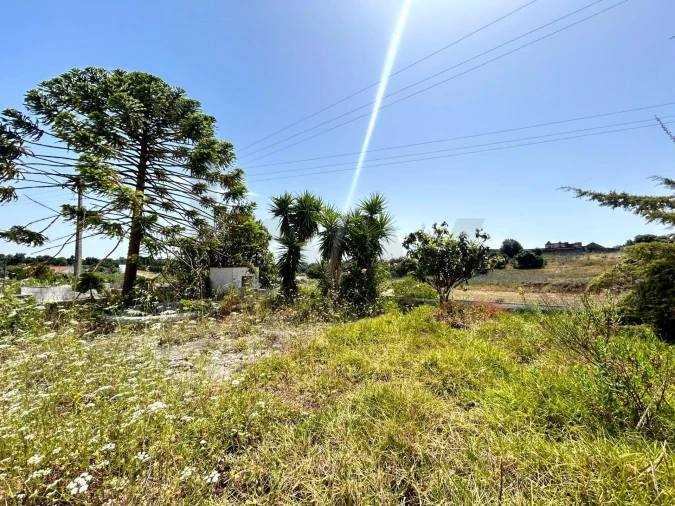 Quinta T6 para Venda em Azambuja Foto 30