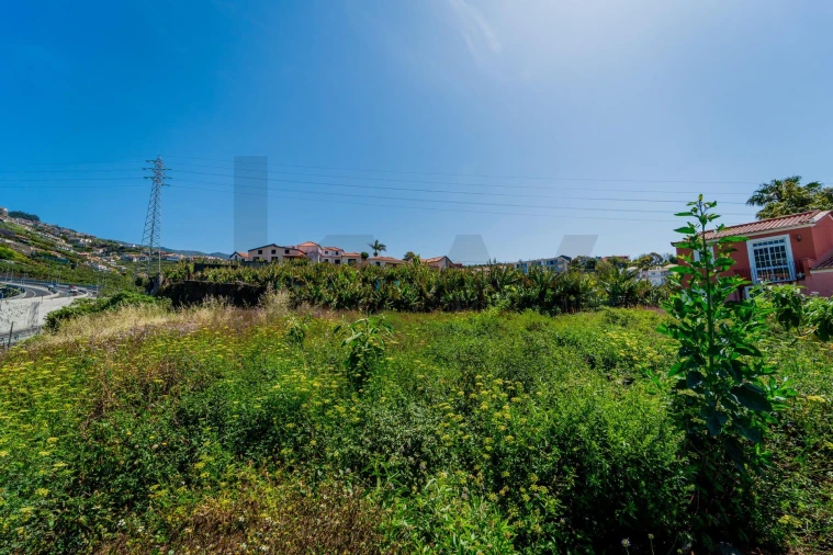 Terreno para Venda em Camara de Lobos Foto 10