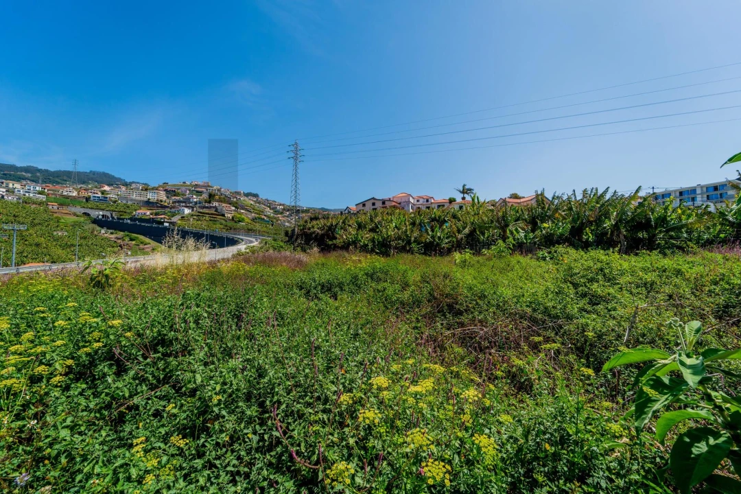 Terreno para Venda em Camara de Lobos Foto 9