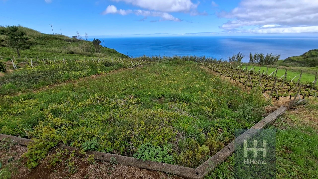 Terreno para Venda em Fajã da Ovelha Foto 3