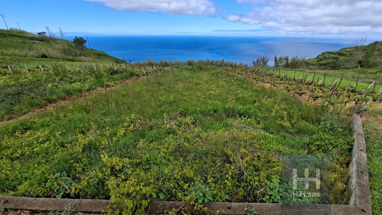Terreno para Venda em Fajã da Ovelha Foto 8