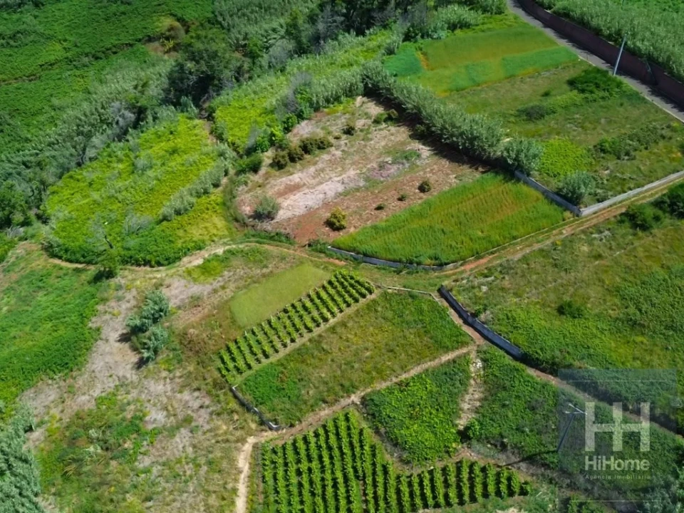 Terreno para Venda em Fajã da Ovelha Foto 4