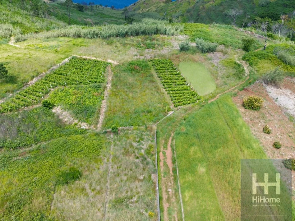 Terreno para Venda em Fajã da Ovelha Foto 13