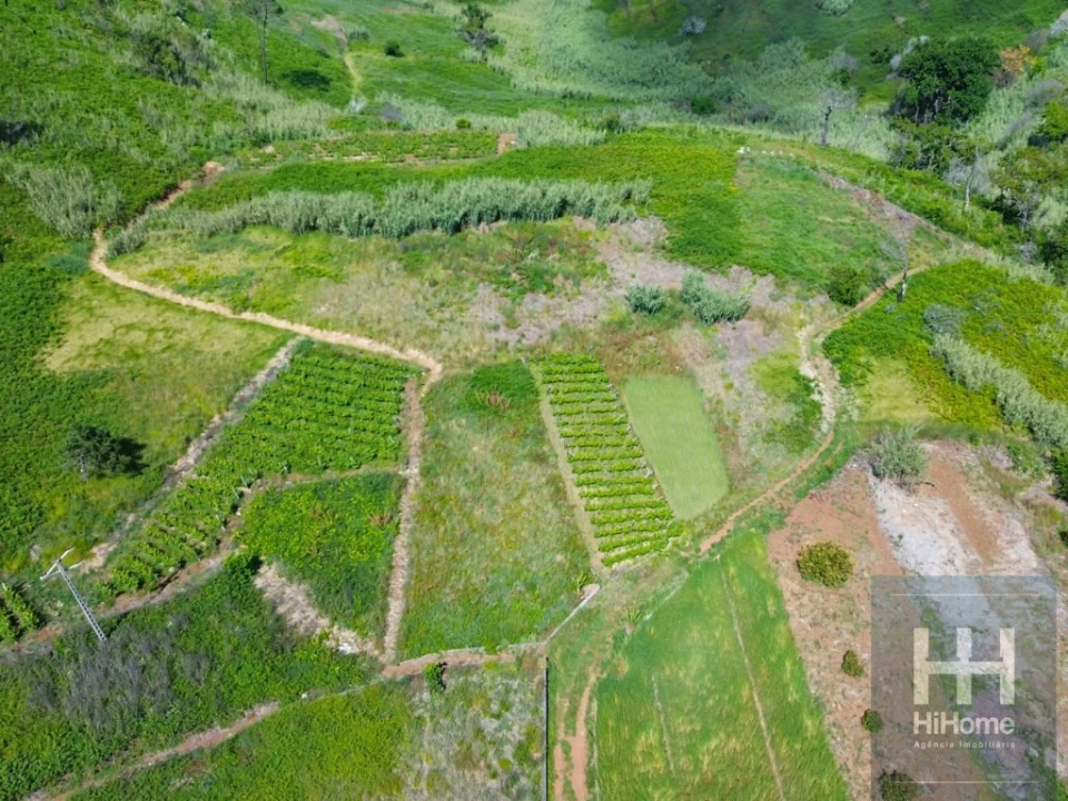 Terreno para Venda em Fajã da Ovelha Foto 14