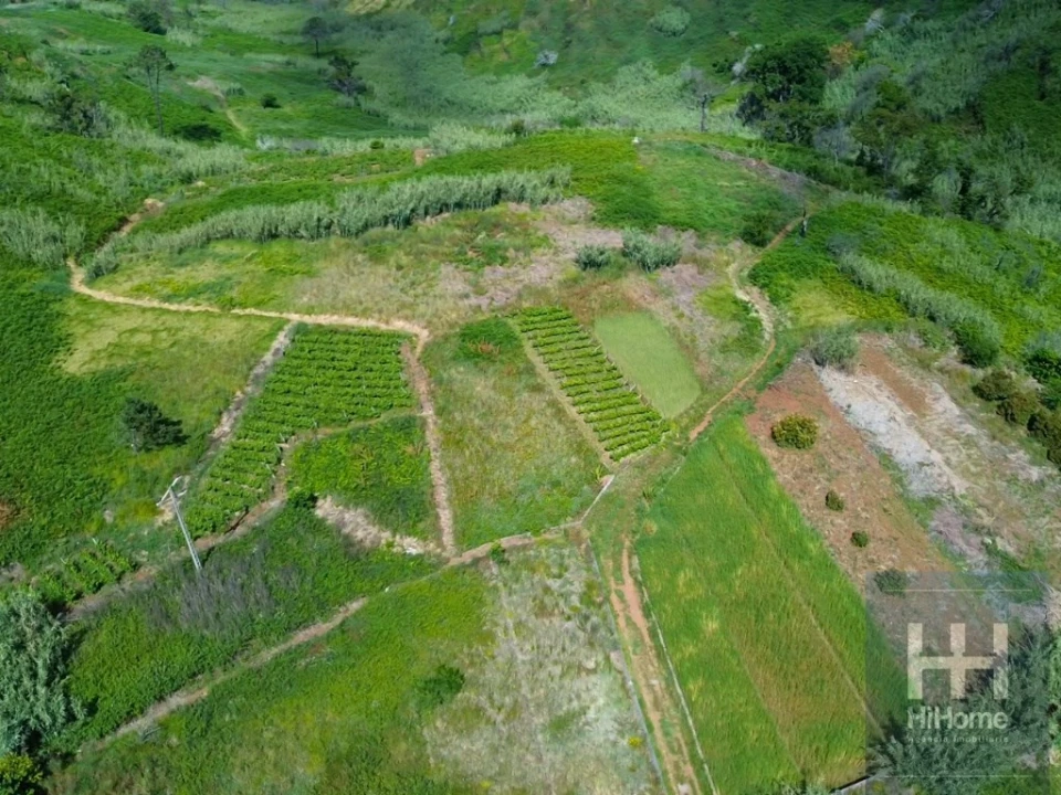 Terreno para Venda em Fajã da Ovelha Foto 18