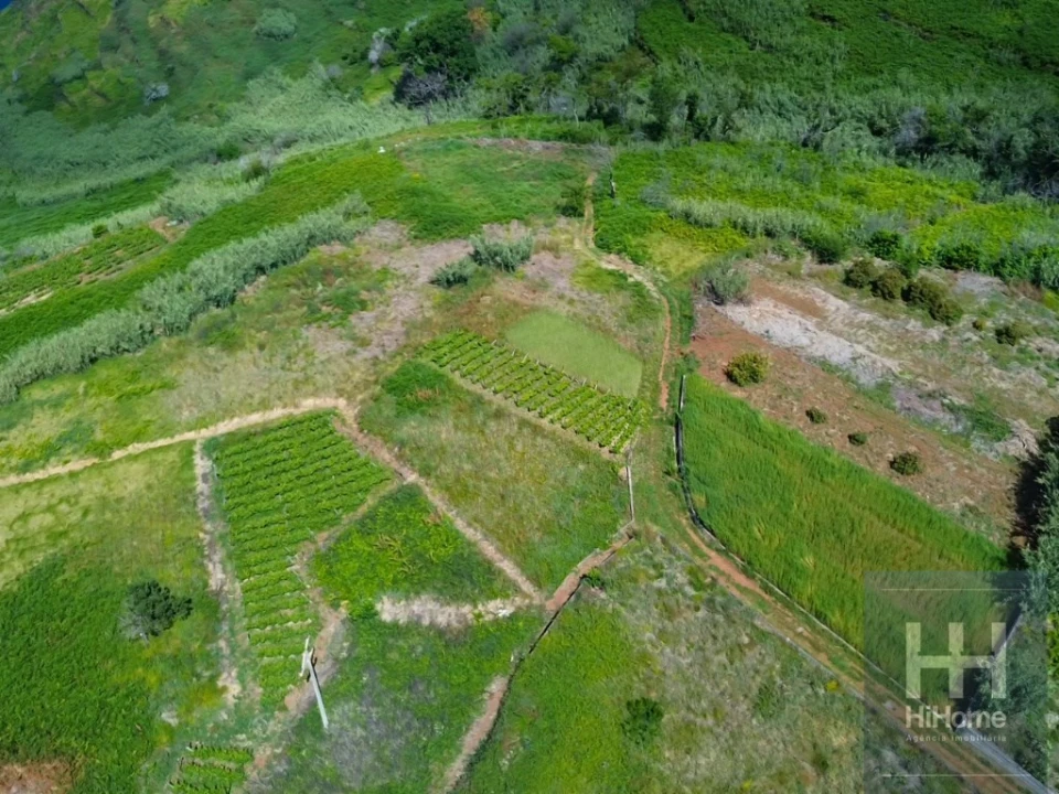Terreno para Venda em Fajã da Ovelha Foto 19