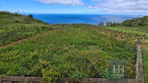 Terreno para Venda em Fajã da Ovelha