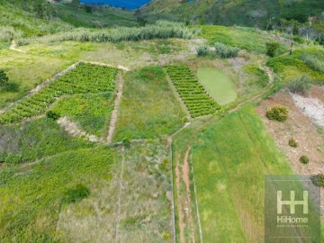 Terreno para Venda em Fajã da Ovelha