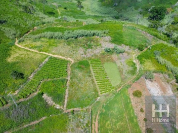 Terreno para Venda em Fajã da Ovelha