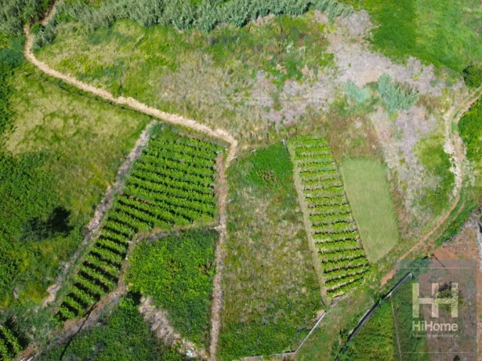 Terreno para Venda em Fajã da Ovelha Foto 15