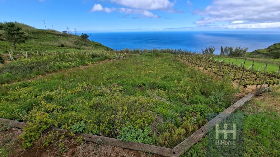 Terreno para Venda em Fajã da Ovelha