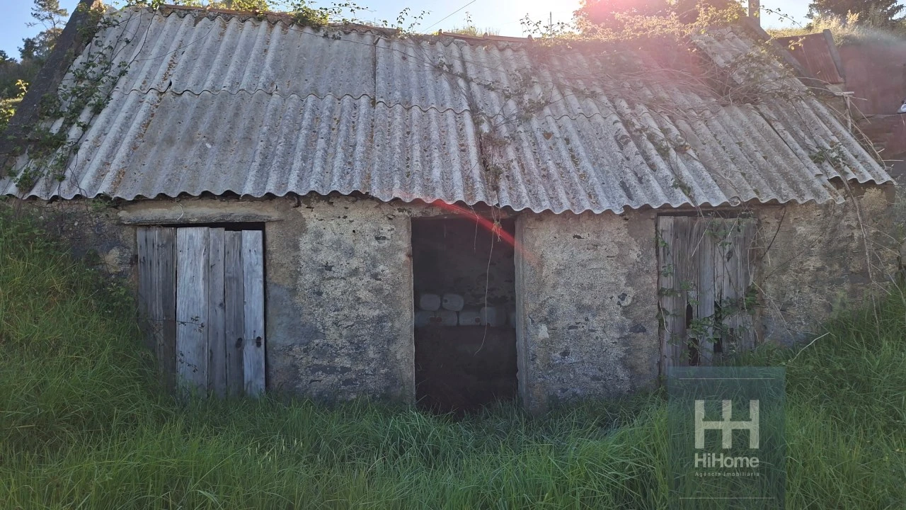 Terreno Agricola ou Rústico para Venda em Fajã da Ovelha Foto 8