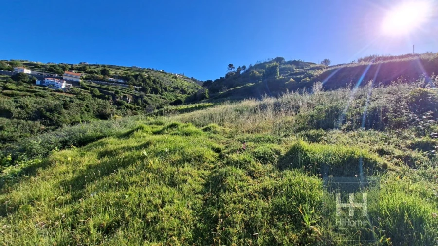 Terreno Agricola ou Rústico para Venda em Fajã da Ovelha Foto 4