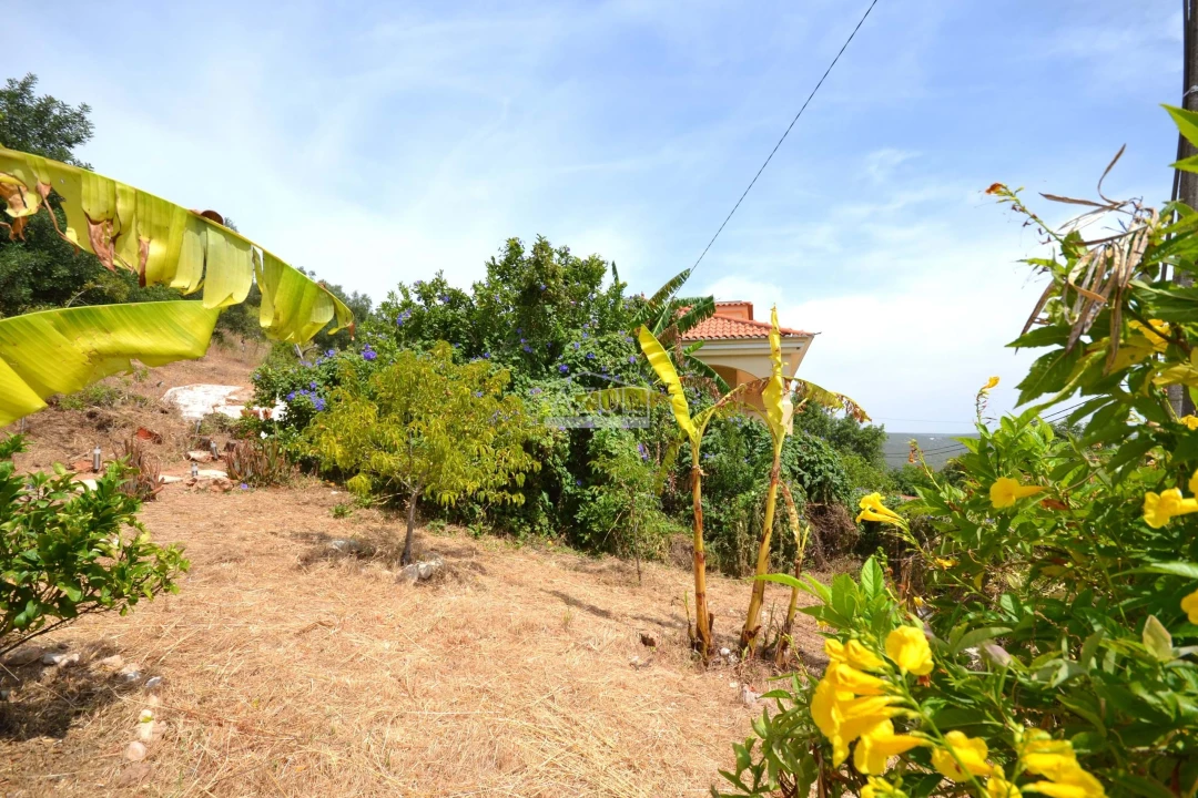Moradia T4 para Venda em Loule (São Sebastião) Foto 33