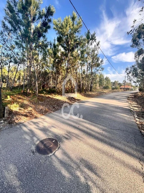 Terreno para Venda em Marinha Grande