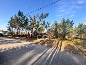 Terreno para Venda em Marinha Grande