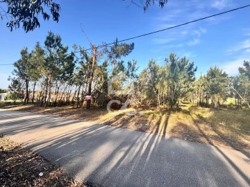 Terreno para Venda em Marinha Grande