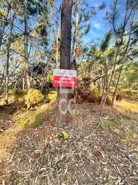 Terreno para Venda em Marinha Grande