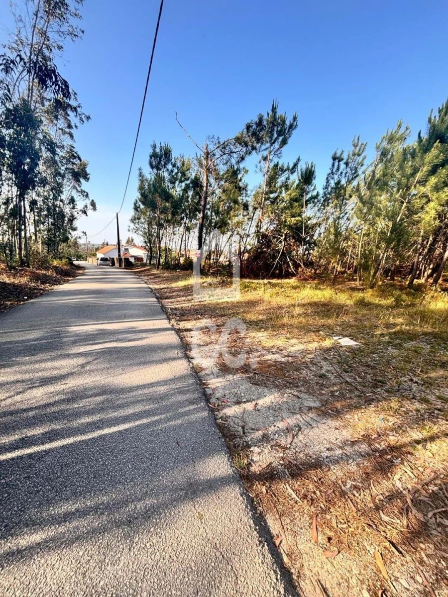 Terreno para Venda em Marinha Grande Foto 6