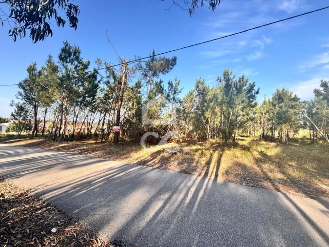 Terreno para Venda em Marinha Grande Foto 5