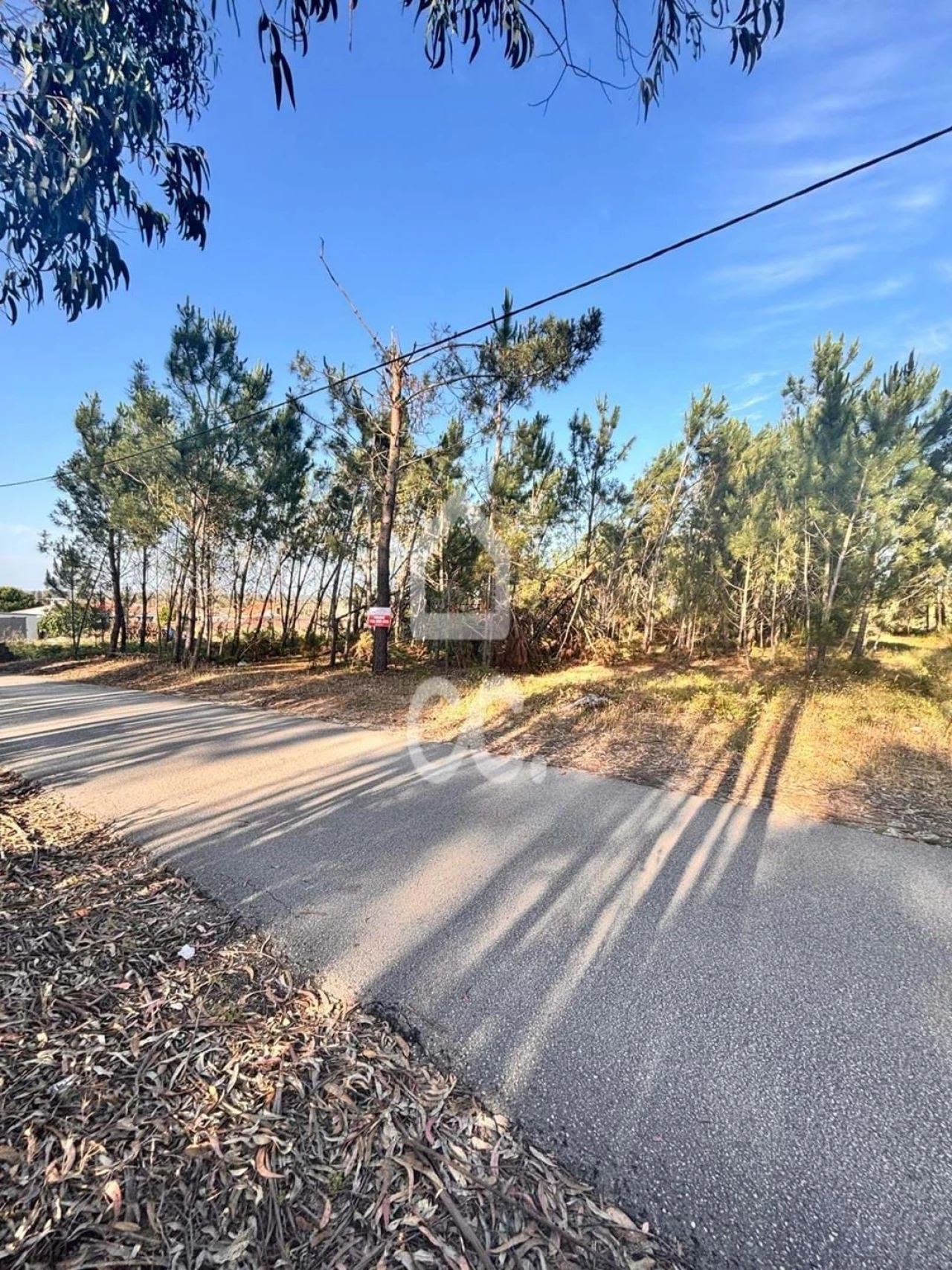 Terreno para Venda em Marinha Grande Foto 4