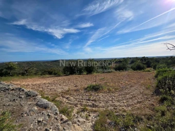Terreno Agricola ou Rústico para Venda em Paderne
