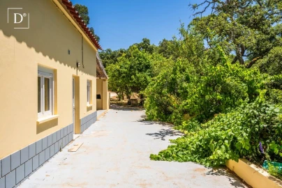 Moradia T3 para Venda em Monchique