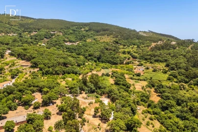 Moradia T3 para Venda em Monchique