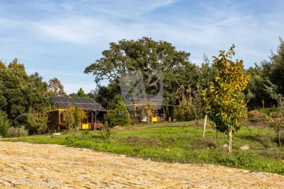 Quinta T5 para Venda em Fatela
