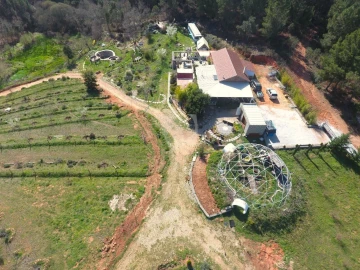 Quinta T5 para Venda em Fatela